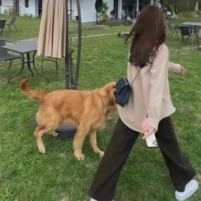 夏尔马吉的小吃